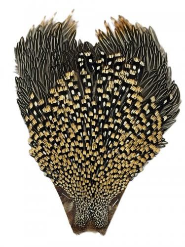 󥰥륳å ץ꡼ No.3 CANAL