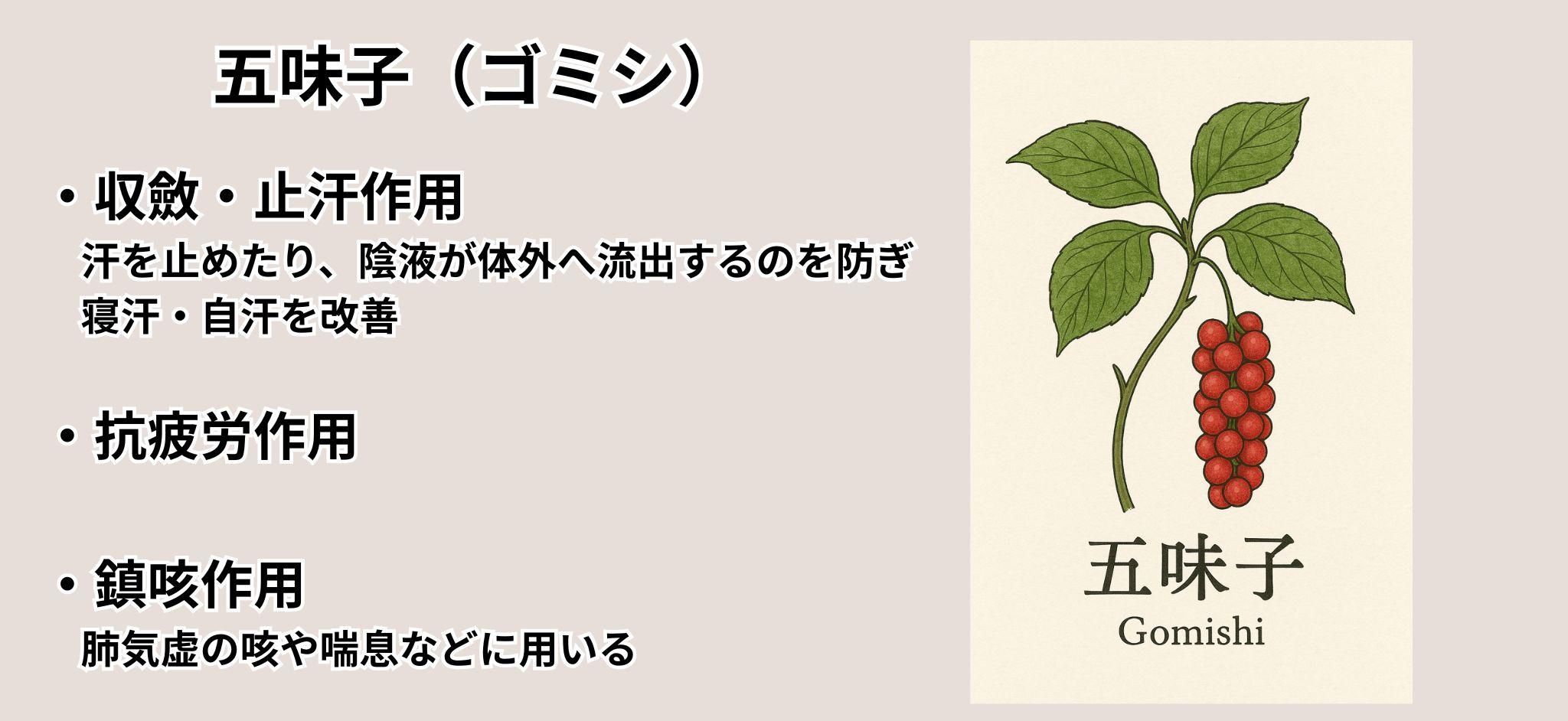 五味子(ゴミシ)の特徴