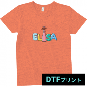 DTFץȡۥȥ饤֥TġTCR-112 TRUSS