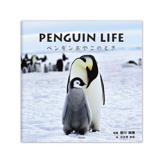 ̿PENGUIN LIFE ڥ󥮥󤪤䤳ΤȤ