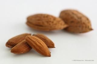 �ڳ��դ��ե�å���ۤ�ޤ����������ɡ�500g�ʹ� / ����������<img class='new_mark_img2' src='https://img.shop-pro.jp/img/new/icons62.gif' style='border:none;display:inline;margin:0px;padding:0px;width:auto;' />