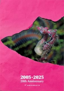 20ǯǰѥեå<img class='new_mark_img2' src='https://img.shop-pro.jp/img/new/icons14.gif' style='border:none;display:inline;margin:0px;padding:0px;width:auto;' />