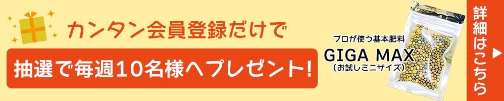 Ͽڡ