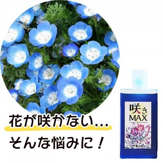 【値下げNG】花さま専用ページ 2025 September9/Flower | gingamWEBSTORE