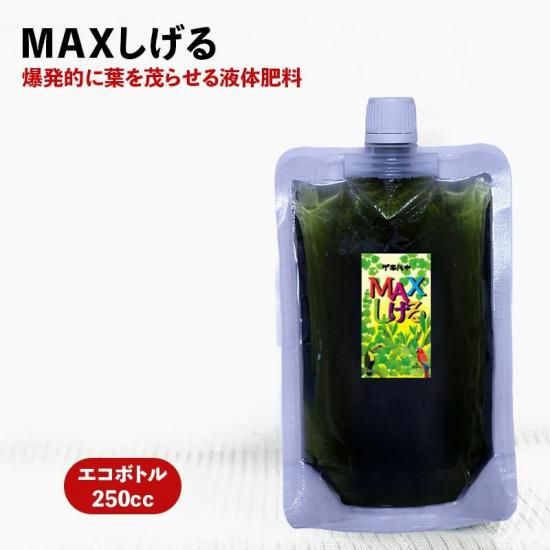 OGASAKA - 80ワックス塗って発送もできます！011Artistic FLUX 17万！ x-fly-s148-2526.jpg