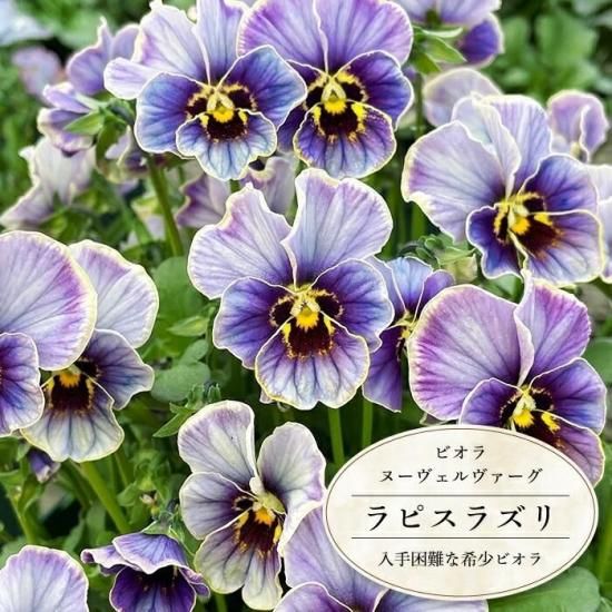 188243515.jpg?cmsp_timestamp=