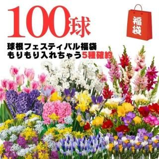 商品検索 - ゲキハナ感激安心のお花屋さん 本店