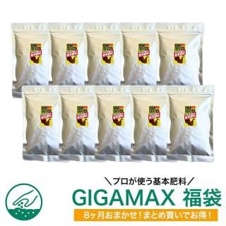 8ޤGIGAMAXʡ