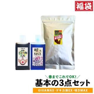 �餯�餯ʡ�� 3�����å�