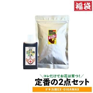 2��ο��� 2�����å�