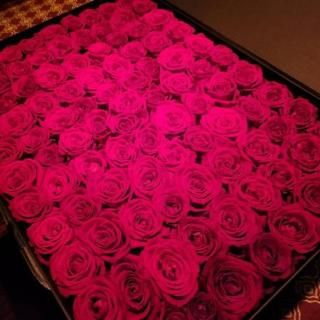 生花 - RED ROSE SAITO