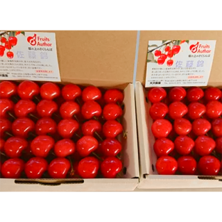 ϥ£Ѥ 500gȢ60γۡ2Ȣȯ5