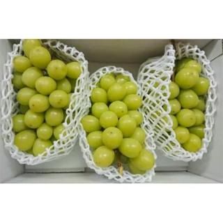 㥤ޥå 2Ȣ34˼ۡ1Ȣ(ȯ89)