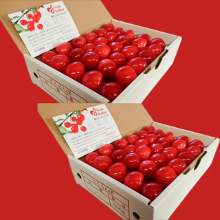 褱ϥ£Ѥ 500gȢ60γۡ2Ȣȯ56