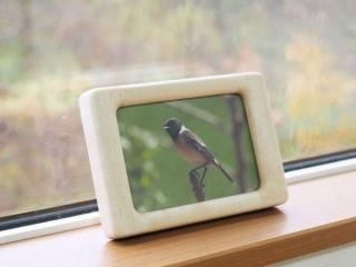 եȥե졼 ( L )   ڥǡ