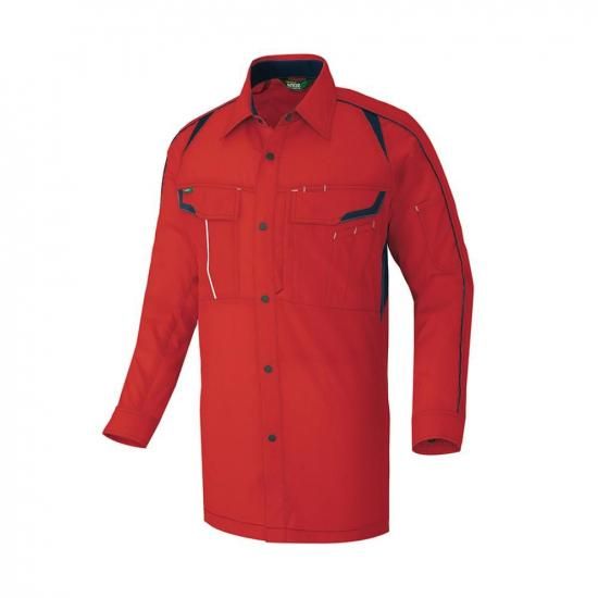 Ĺµ����ġ��˽����ѡ��礭��������