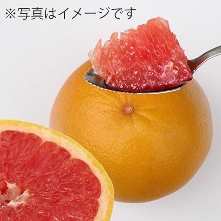 グレープフルーツです softdrink_4972251207827-3c