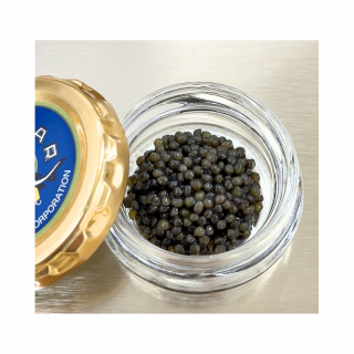 <img class='new_mark_img1' src='https://img.shop-pro.jp/img/new/icons2.gif' style='border:none;display:inline;margin:0px;padding:0px;width:auto;' />ꥢӥȥ顡7g