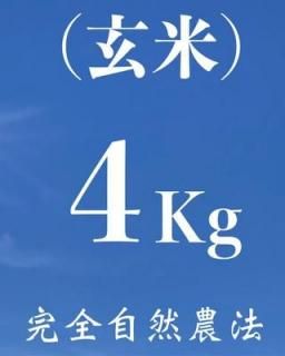 <img class='new_mark_img1' src='https://img.shop-pro.jp/img/new/icons2.gif' style='border:none;display:inline;margin:0px;padding:0px;width:auto;' /> 4kgʼˡ˥ҥ