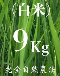  9kgʼˡ˥ҥ