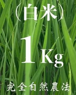  1kg ʼˡ˥ҥ