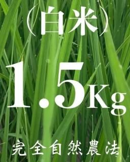  1.5kg ʼˡ˥ҥ