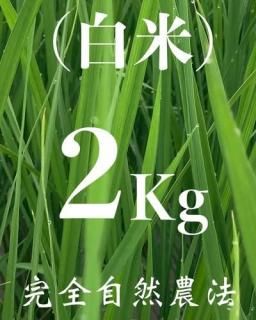  2kg ʼˡ˥ҥ