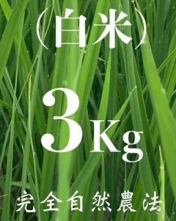  3kg ʼˡ˥ҥ