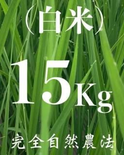  15kg ʼˡ˥ҥ