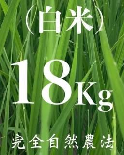  18kg ʼˡ˥ҥ