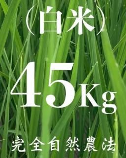  45kgʼˡ˥ҥ