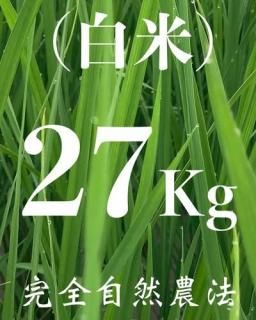  27kg ʼˡ˥ҥ