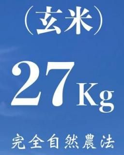  27kgʼˡ˥ҥ
