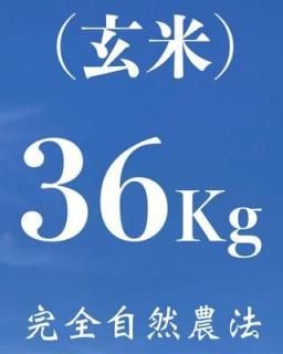  36kgʼˡ˥ҥ