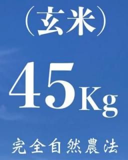  45kgʼˡ˥ҥꡡ11.25kg x 4