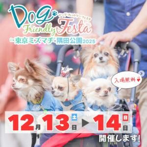 ���ĸ��।�٥�Ⱦ���