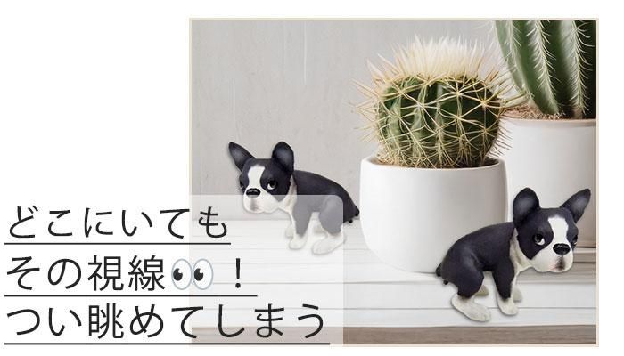 犬　DENS フィギュア　ボストンテリア　2種　新品 楽天市場】【DENSCRAFT】 Dog@CUBE 「ウ○チング」 ボストン