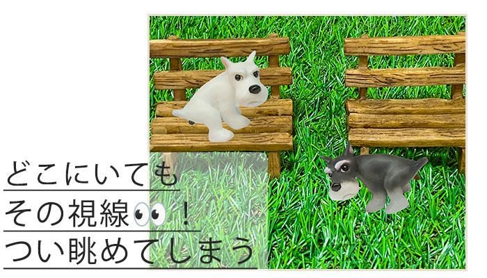 SHU Ｉcanシリーズ犬 SHU Icanシリーズ犬 ロードバイクホイール – ICANJP