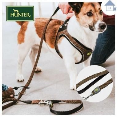 ワンちゃんのお散歩用品-犬グッズ通販 sumainu/スマイヌ