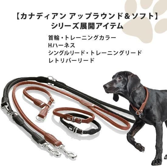 ままろん】SK-II ＋ 犬用リード ままろん】SK-II ＋ 犬用リード Dog