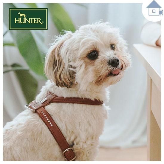 リンス@まとめ買い歓迎出品 ゴミ箱 屋外 大容量 分別 ダストボックス ミニ 専用補修部材