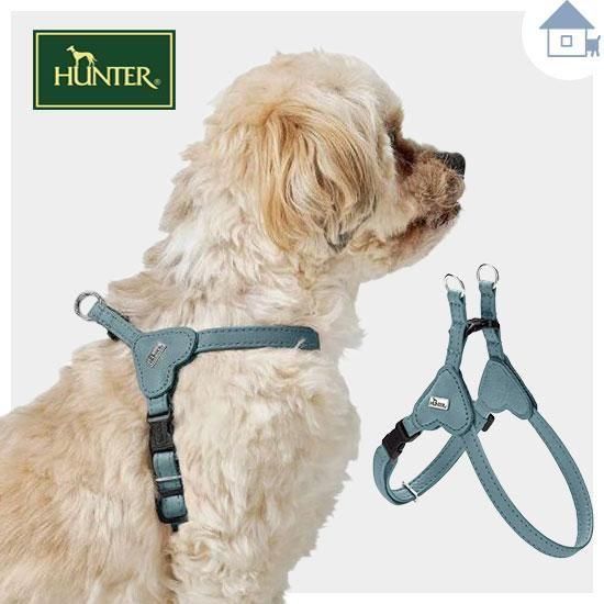 犬ぞり 炭酸泉EX | ZOIC（ゾイック）株式会社ハートランド