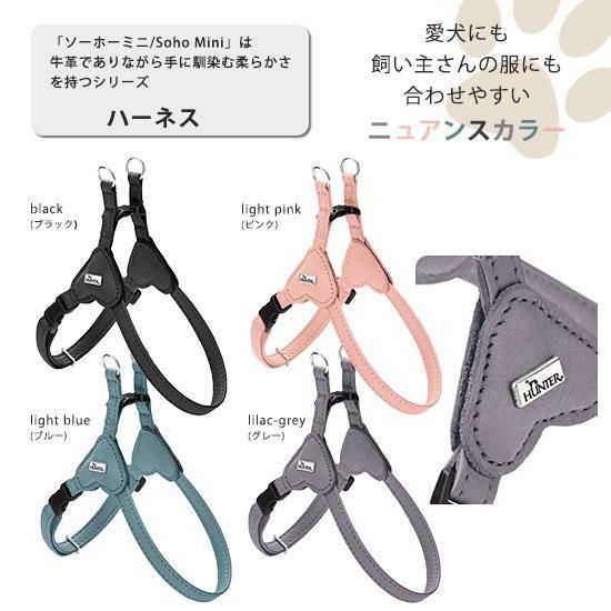 犬ぞり 炭酸泉EX | ZOIC（ゾイック）株式会社ハートランド