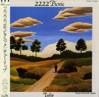 TULIP 2222 picnic ETP-90171