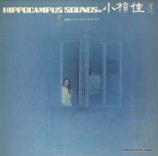 TSUCHIDA, KOICHI hippocampus sounds in okura kei AX-6022