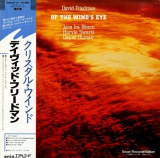 FRIEDMAN, DAVID of the wind's eye 28MJ3113