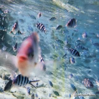 GADGETS blue GADGETS9