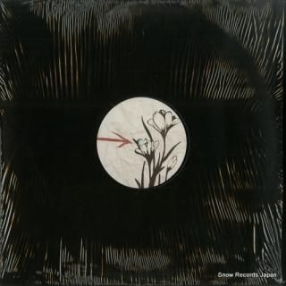 KIRIK crocus 003 CRS003