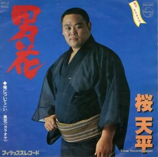 SAKURA, TENPEI otoko bana 6PL-2