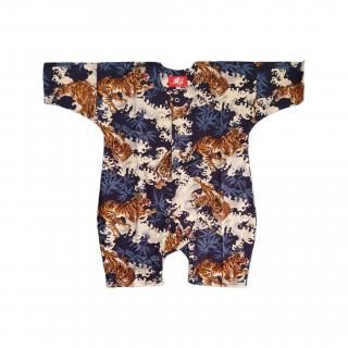 ����ѡ������ס���D��